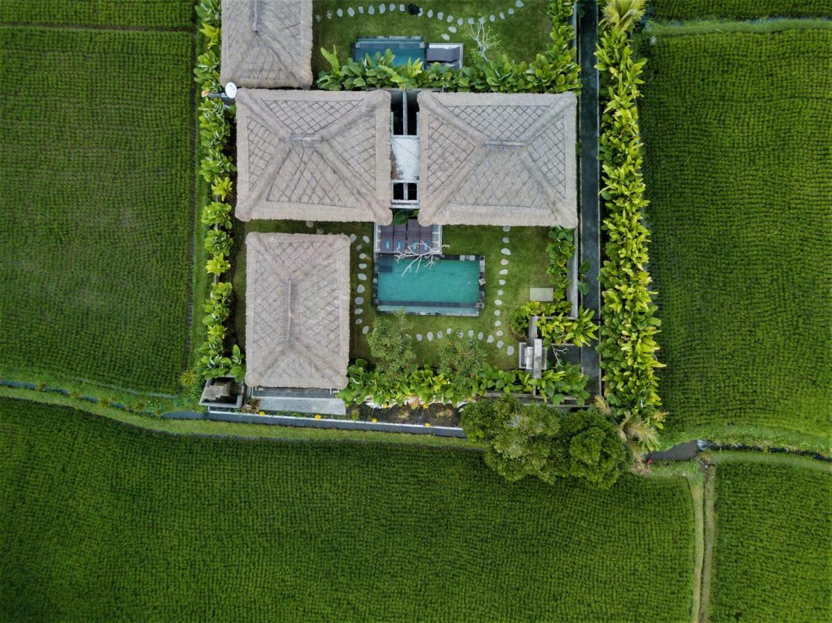 Three Gold Luxury Private Villas Ubud Dış mekan fotoğraf